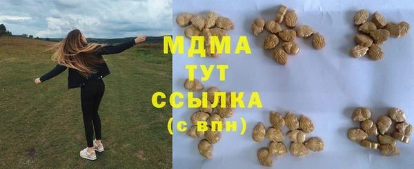 мдпв Ельня