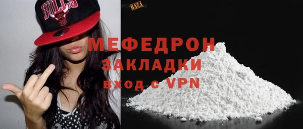 мдпв Ельня