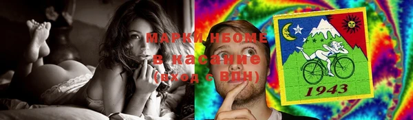 мдпв Ельня