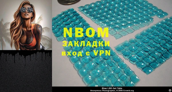 мдпв Ельня