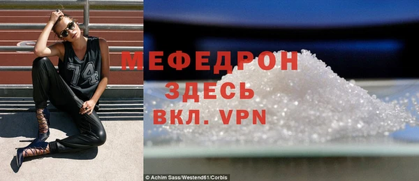 мдпв Ельня