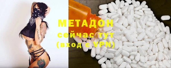 мдпв Ельня
