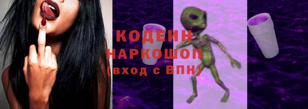 мдпв Ельня