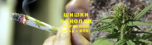 ПСИЛОЦИБИНОВЫЕ ГРИБЫ Елабуга