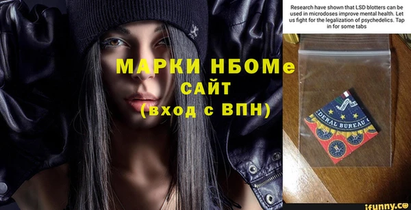мдпв Ельня