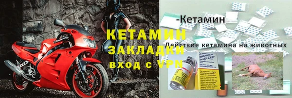 ПСИЛОЦИБИНОВЫЕ ГРИБЫ Елабуга