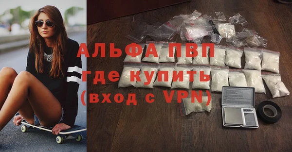 мдпв Ельня