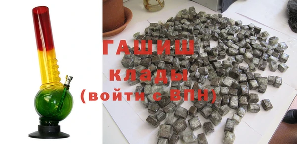 мдпв Ельня