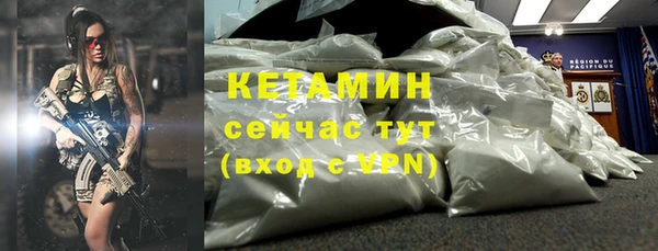 мдпв Ельня