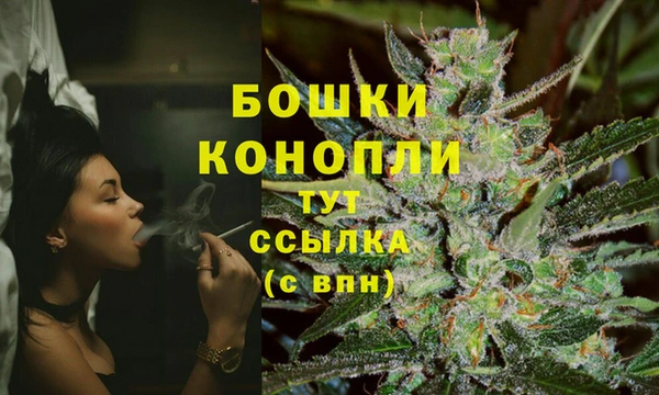 мдпв Ельня