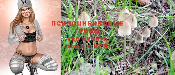 мдпв Ельня